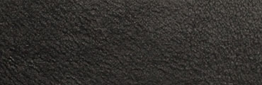 leathercolor-black-8399_webb